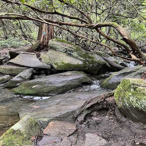 Rocky Stream